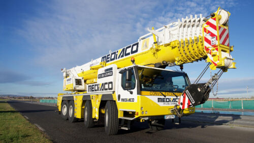Yellow Crane